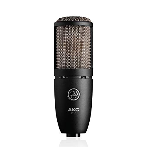 AKG Pro Audio P220 ボーカルコンデンサーマイク、ブラック