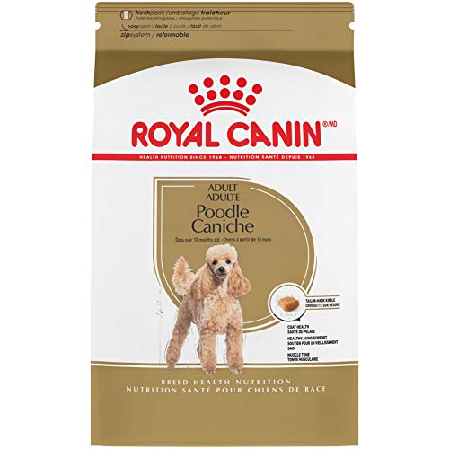 Royal Canin プードル成犬品種専用ドライドッグフード、10ポンド袋
