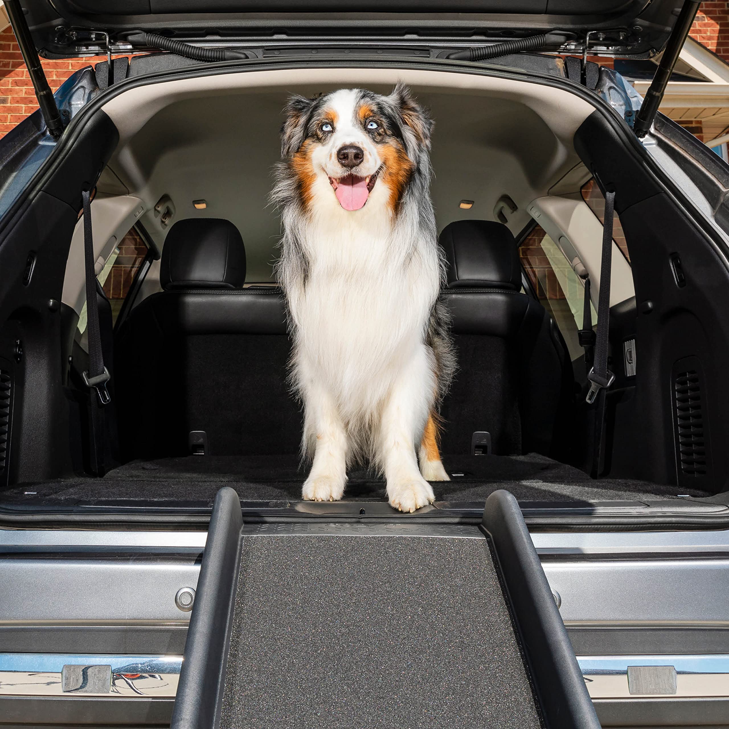 PetSafe Happy Ride 車、トラック、SUV 用折りたたみ犬用スロープ - サイドレール付き大型...