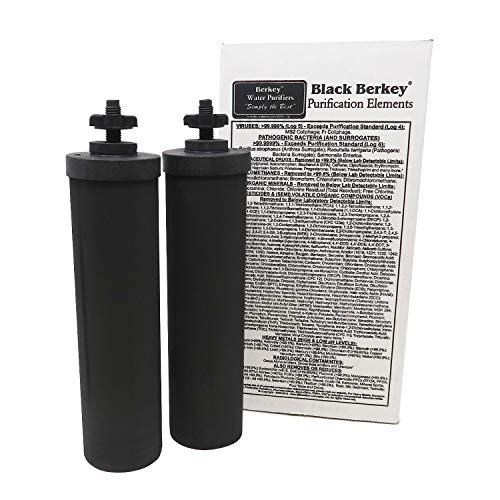 Berkey Authentic Black Purification Elements-浄水器交換フィルター（2パック）