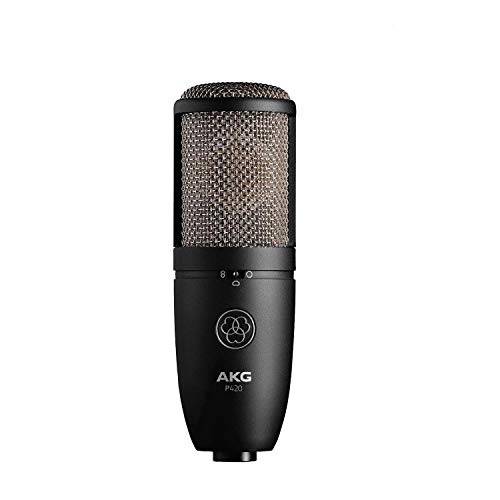 AKG Pro Audio P420 デュアル カプセル コンデンサー マイク、ブラック (3101H00430)