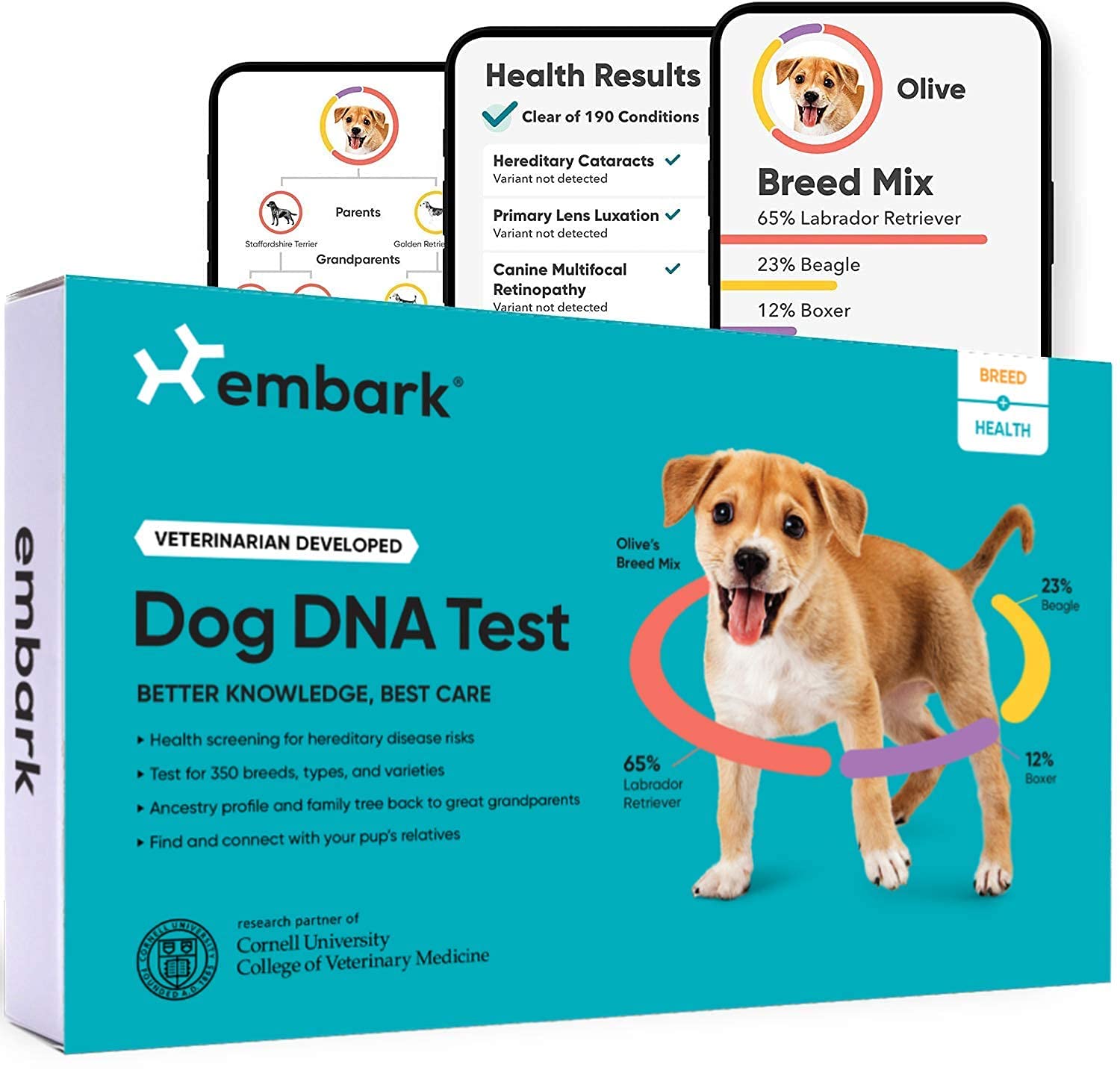 Embark 犬の DNA 検査キット |品種と遺伝的祖先の発見 |特性と健康状態の検出 |アットホームチークスワブ