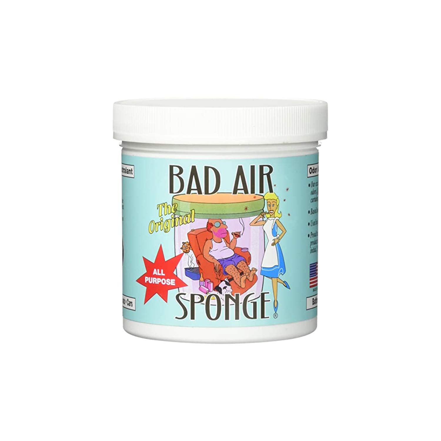 Bad Air Sponge 臭気中和剤、悪臭を吸収して除去します、1 ポンド