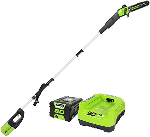 GreenWorks Pro 80V 10 インチ ブラシレス コードレス ポールソー、2Ah バッテリーと充電器付属 PS80L210