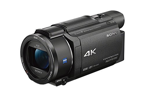 Sony FDRAX53/B 4K HD ビデオ録画ビデオカメラ (ブラック)