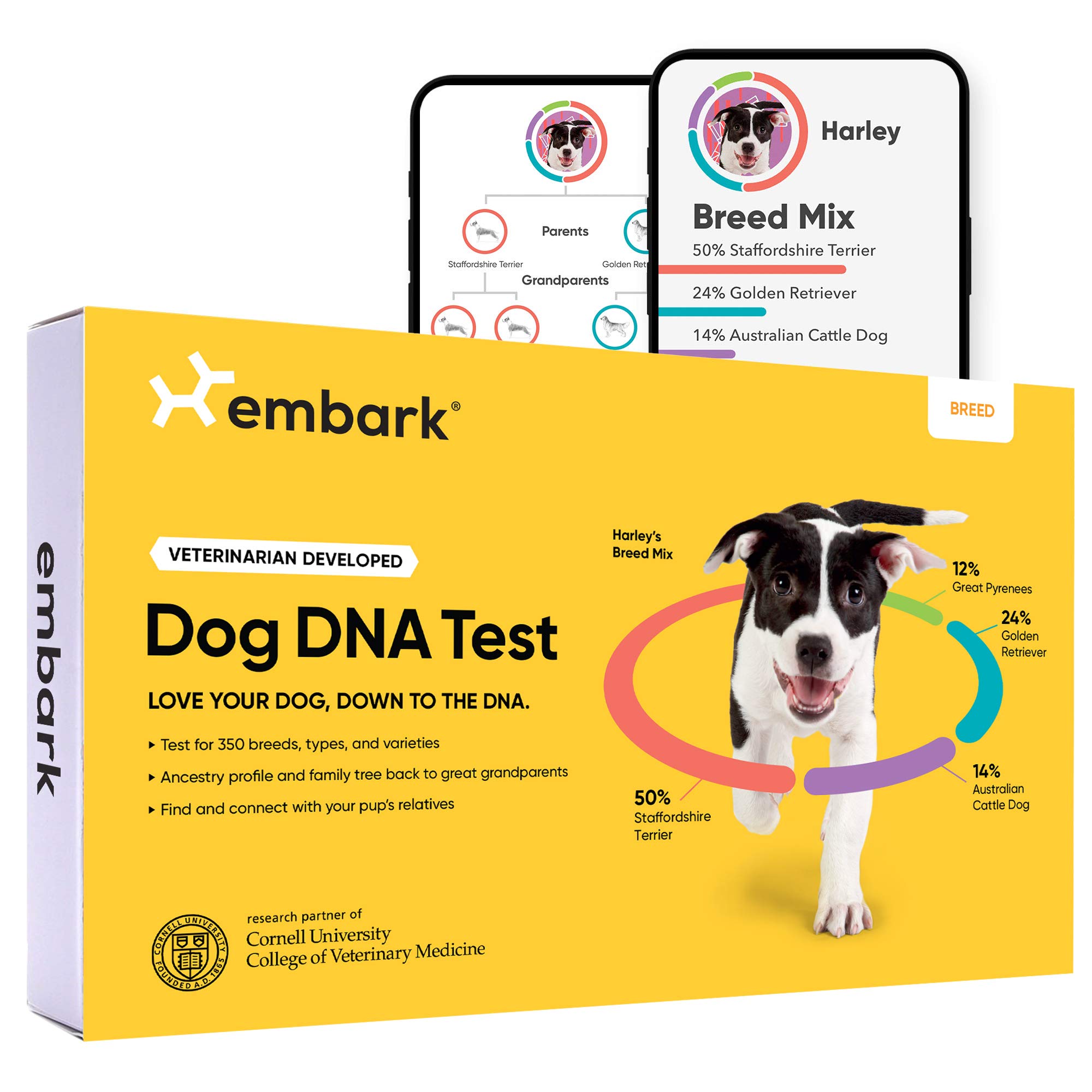 Embark 品種識別キット |最も正確な犬の DNA 検査 | 350以上の犬種をテスト |祖先と家系図を含む品種 ID キット