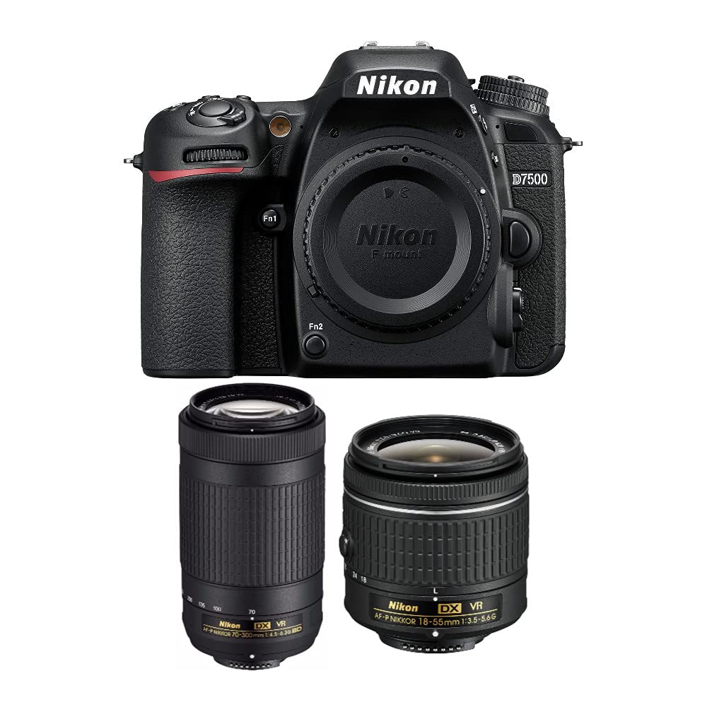 Nikon D7500 2 レンズ装備