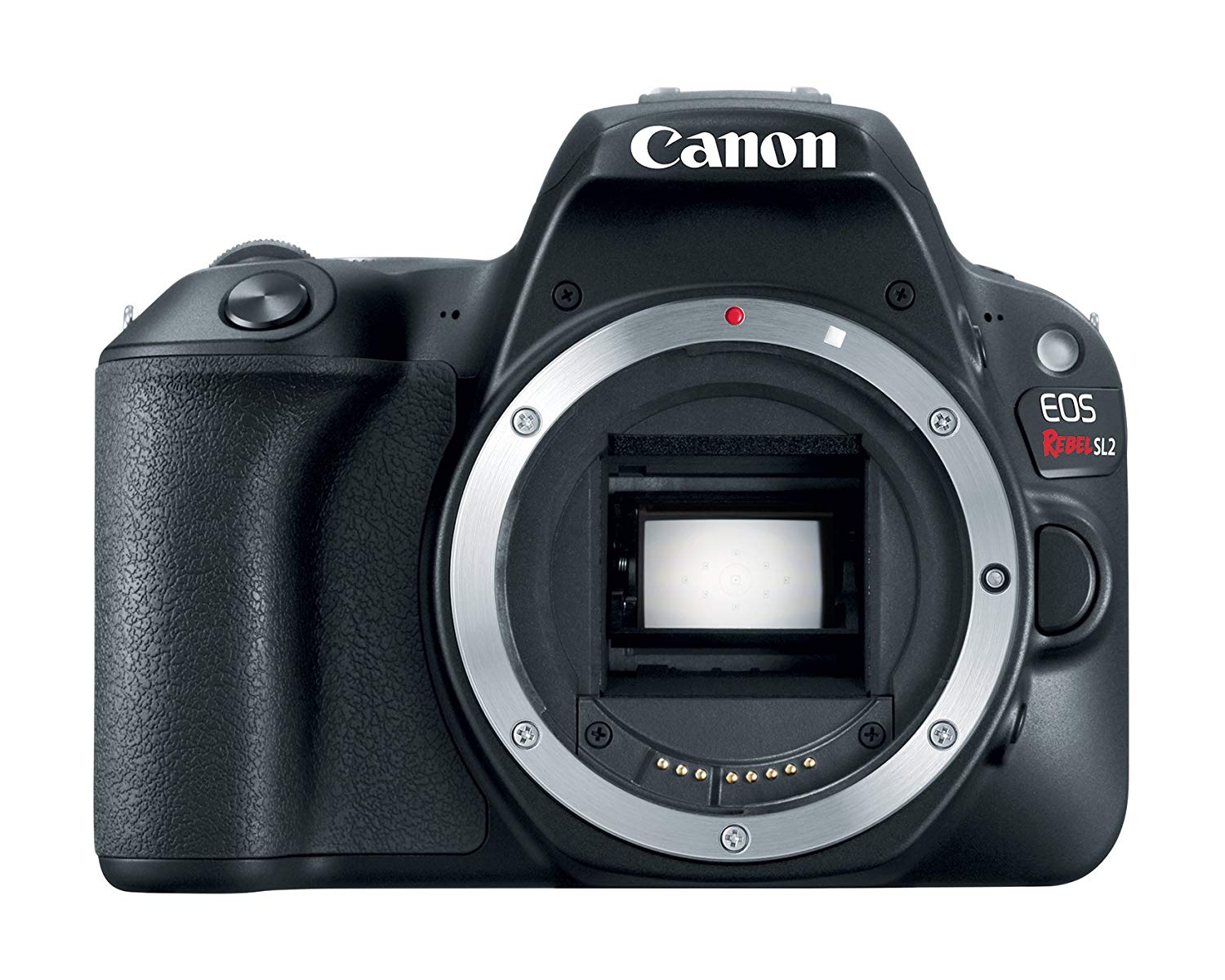 Canon EOS RebelSL2デジタル一眼レフカメラ本体-WiFi対応