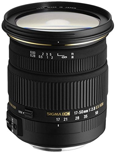 SIGMA ニコンデジタル一眼レフカメラ用17-50mmf / 2.8 EX DC OS HSMFLD大口径標...